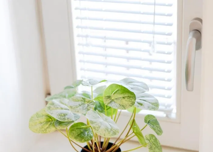 아파트 | 111 Collection *