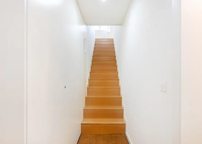 | 111 Collection * 波尔图